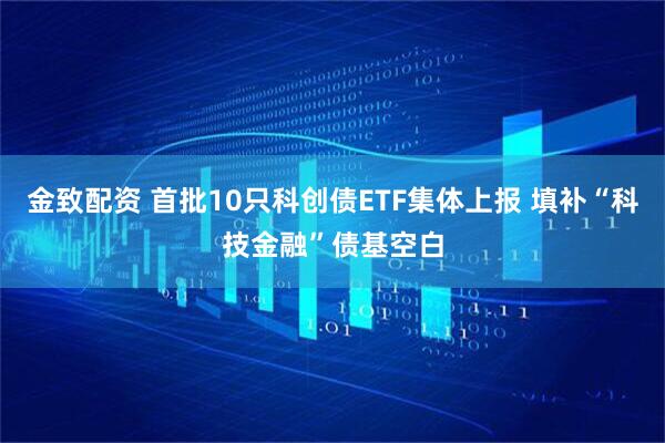 金致配资 首批10只科创债ETF集体上报 填补“科技金融”债基空白
