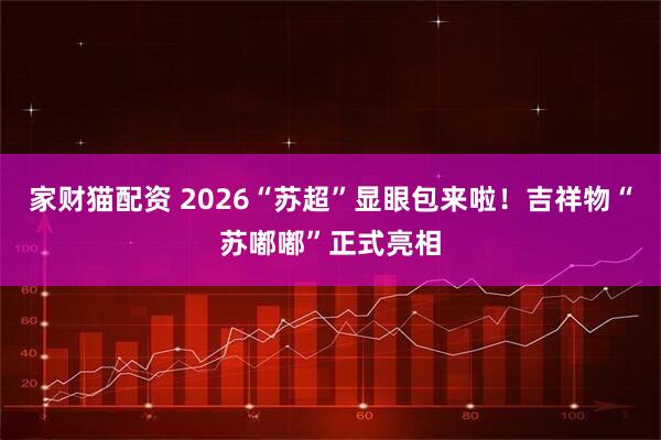 家财猫配资 2026“苏超”显眼包来啦！吉祥物“苏嘟嘟”正式亮相